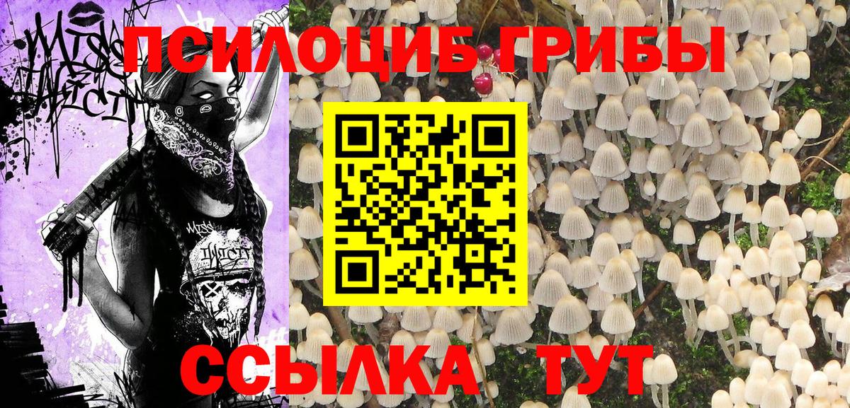 Гатчина  Псилоцибиновые грибы мицелий  Вход с VPN 